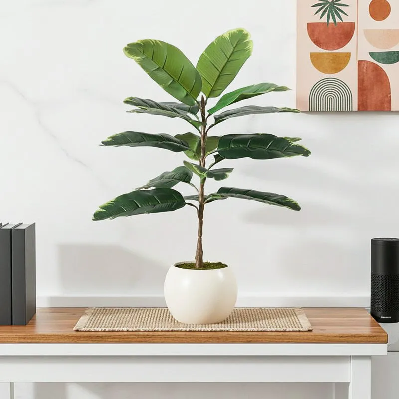 Faux Yellow Rubber Plant With Black Plastic Pot - 2.46 ft media 1