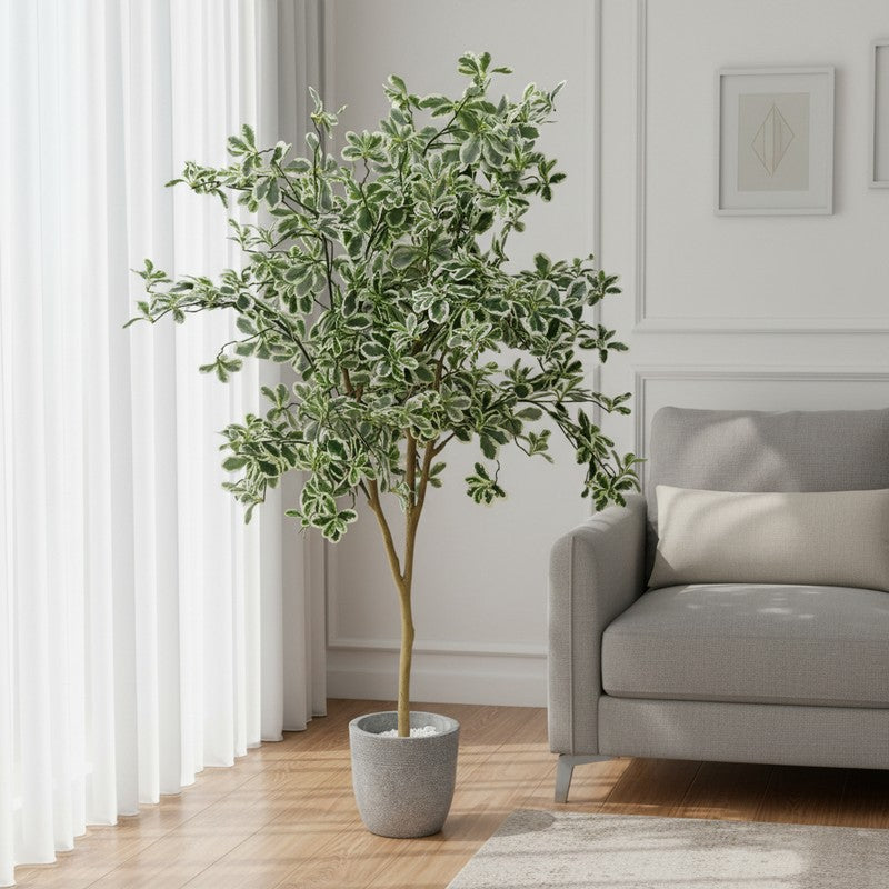 Plantara Artificial Baby Ficus Plant - 4.9 Feet