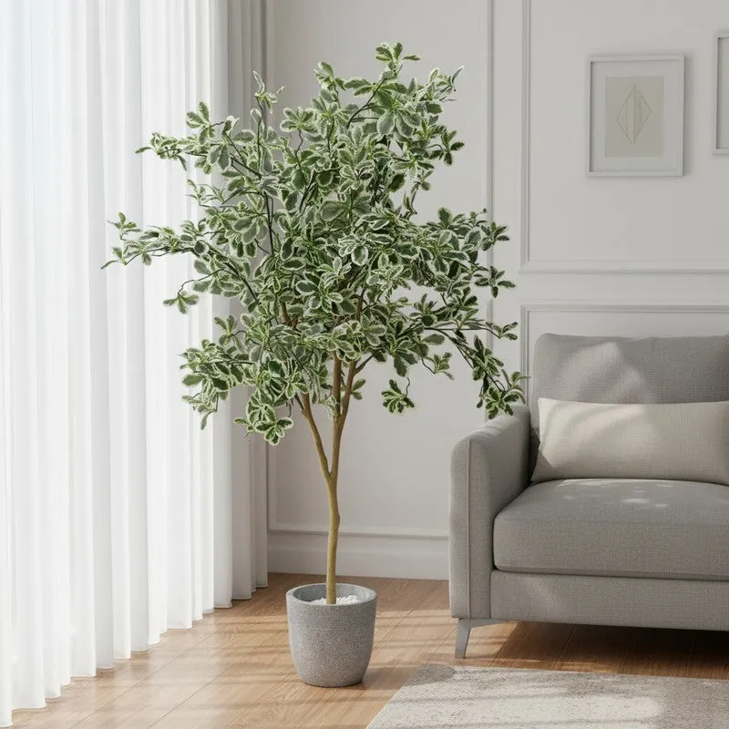 Plantara Artificial Baby Ficus Plant - 4.9 Feet media 1