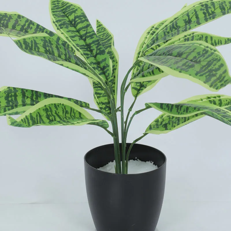 Edena Artificial Snake Plant With Black Plastic Pot - 1.6 Feet media 4