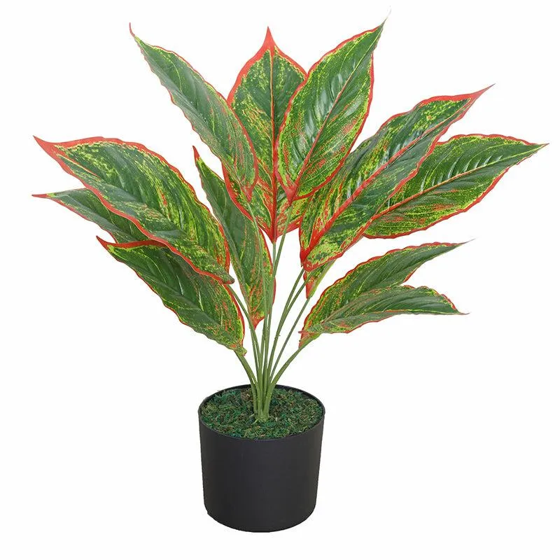 Lush Legacy Artificial Plant With Black Plastic Pot media 3
