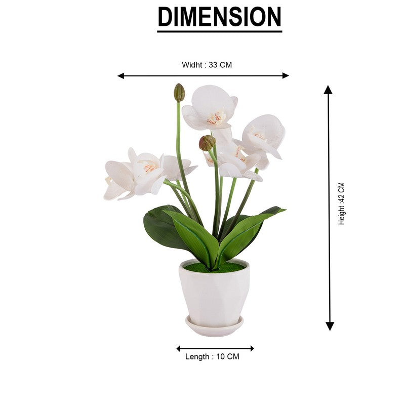 AarviDecor Elegant Bloom Silk Artificial Plants media 11