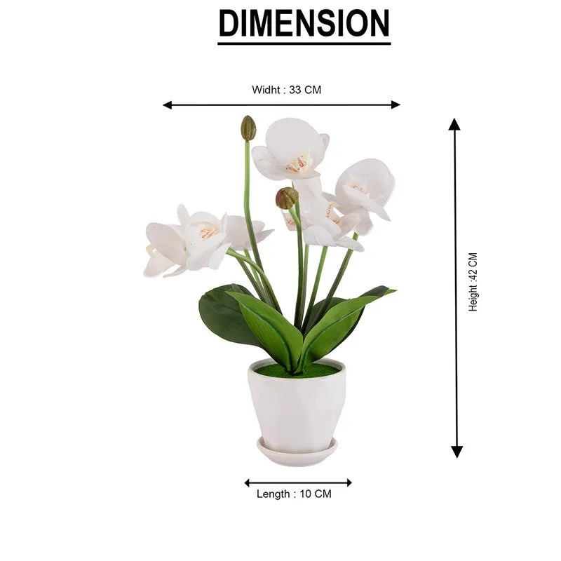 AarviDecor Elegant Bloom Silk Artificial Plants media 11