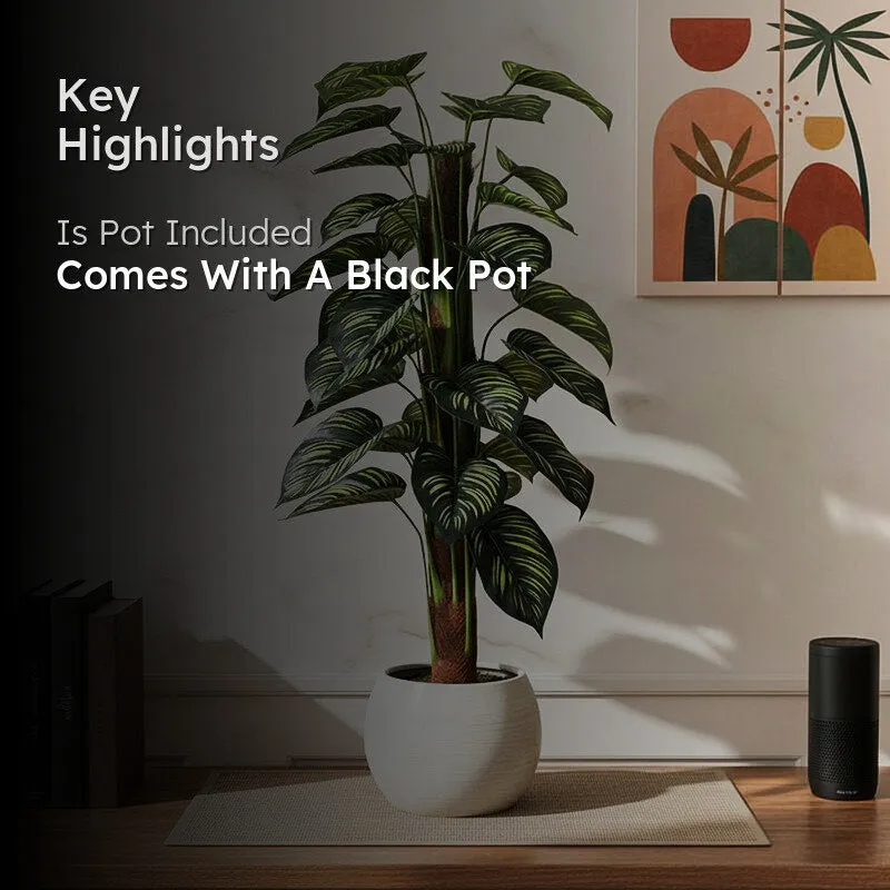 Faux Pola Calatheas Plant With Black Plastic Pot - 2.95 ft media 2