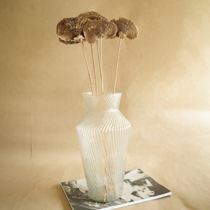 Natural Sponge Mushroom Bunch - Set Of Five media 3