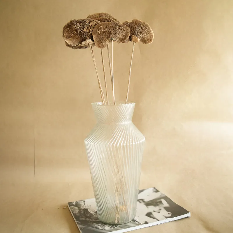 Natural Sponge Mushroom Bunch - Set Of Five media 3