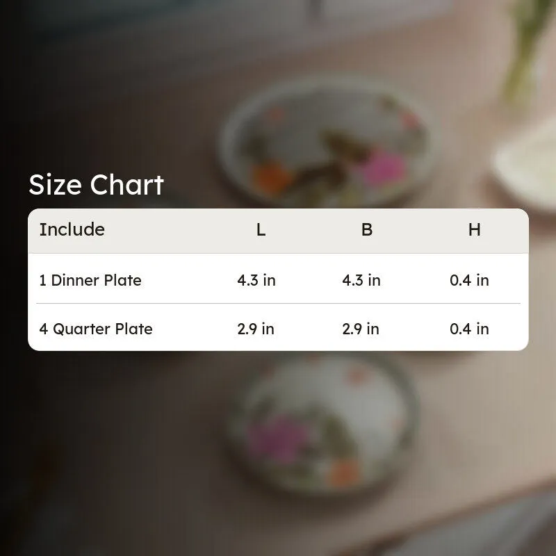 Striped Blosson 4 Quarter Plates with 1 Dinner Plate - Five Piece Set media 9