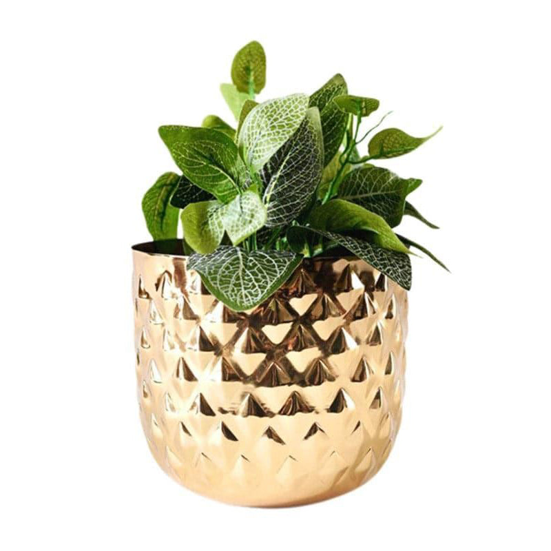 Pineapple Poga Planter media 5