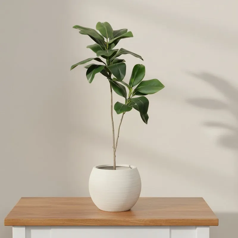 Bloomora Artificial Fiddle Fig Plant With Black Plastic Pot media 6