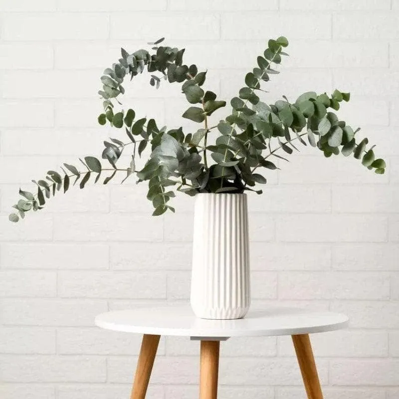 Naturally Dried Eucalypyus Stems - Set Of Five media 1