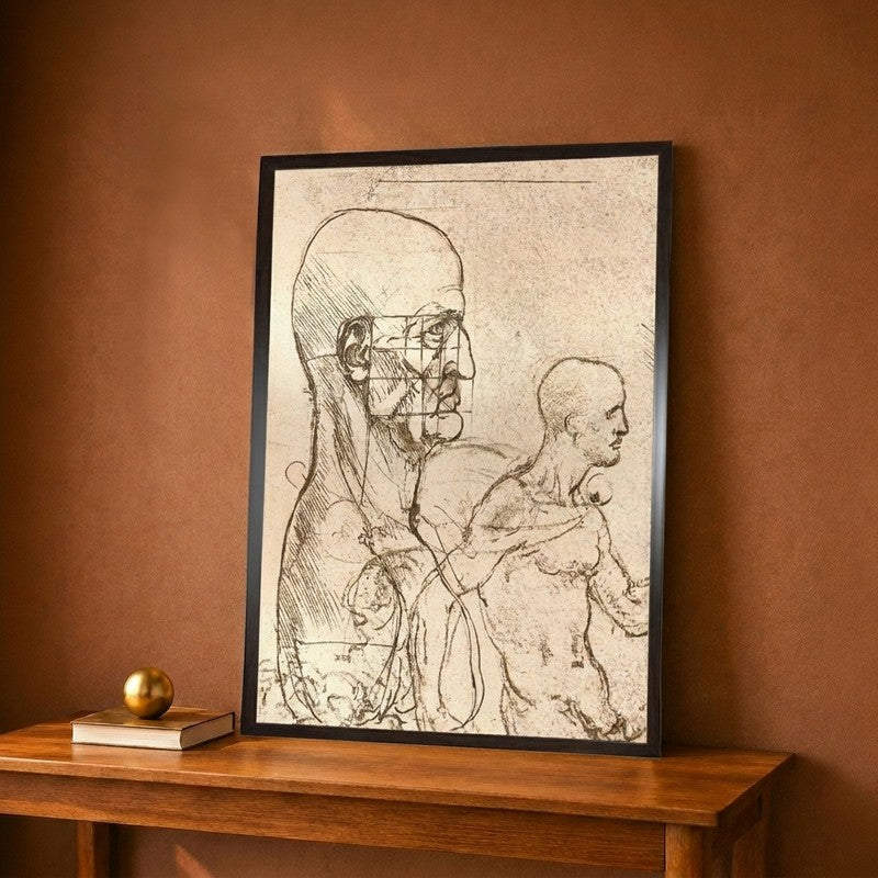 Drawing Illustrating The Theory Of The Proportions Of The Human Figure Canvas Wall Painting - 12 x 16 Inches