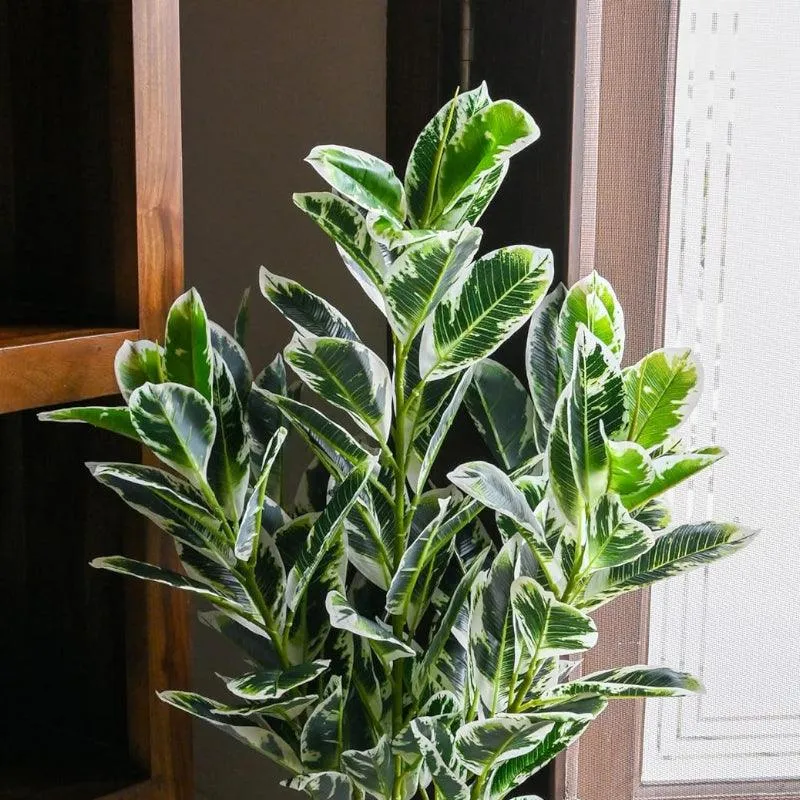 Faux Zebra Plant With Black Plastic Pot - 2.79 ft media 5