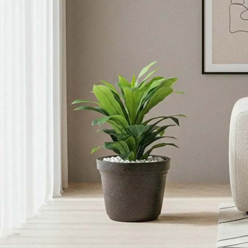 Black planter styled with a green indoor plant beside a window