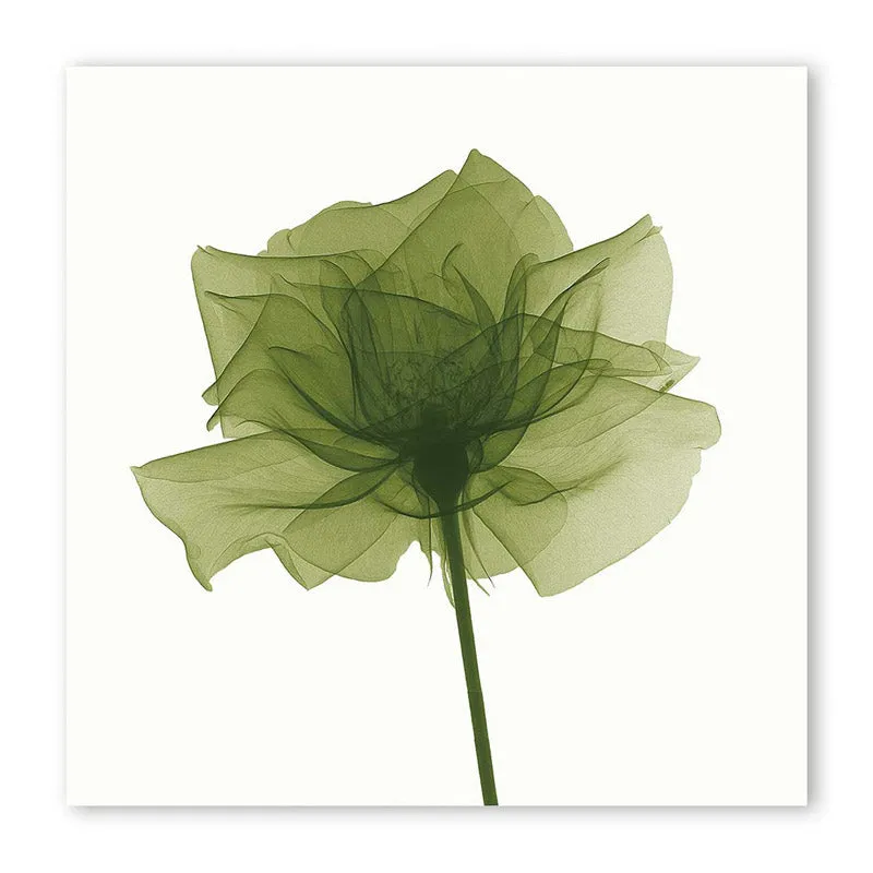 Fletcher Floral Wall Art media 4