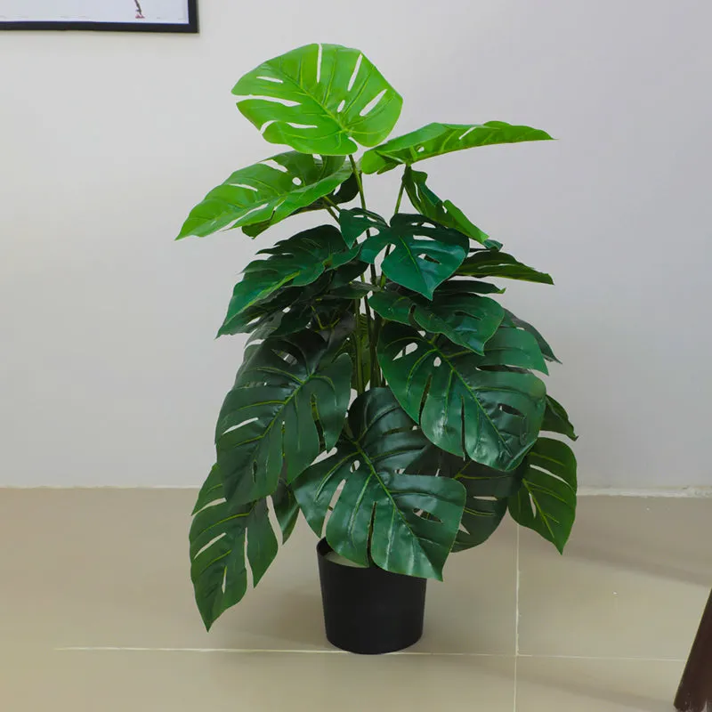 Leaf Vale Artificial Monstera With Black Plastic Pot - 2.6 Feet media 3
