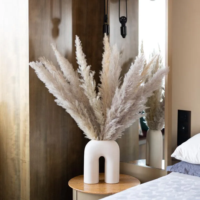 Sittora Glow Pampas Stick - Set Of Ten media 3