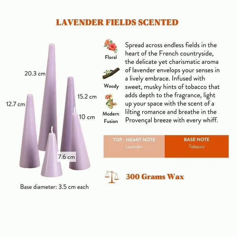 Sunshine Set of 5 Candles - Lavender Fields Scented media 5