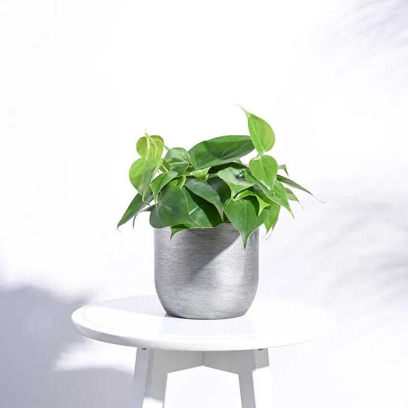 UGAOO Planter Ball Retro- Silver media 3