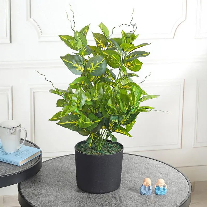 Evergreen Mirage Artificial Plant With Black Plastic Pot media 2
