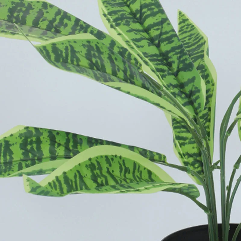 Edena Artificial Snake Plant With Black Plastic Pot - 1.6 Feet media 3