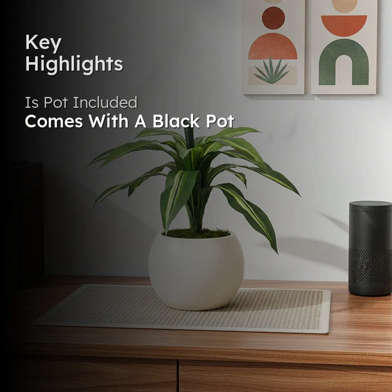Faux Dracaena Plant With Black Plastic Pot - 2.13 ft - 2