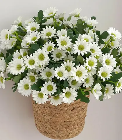 Polyester