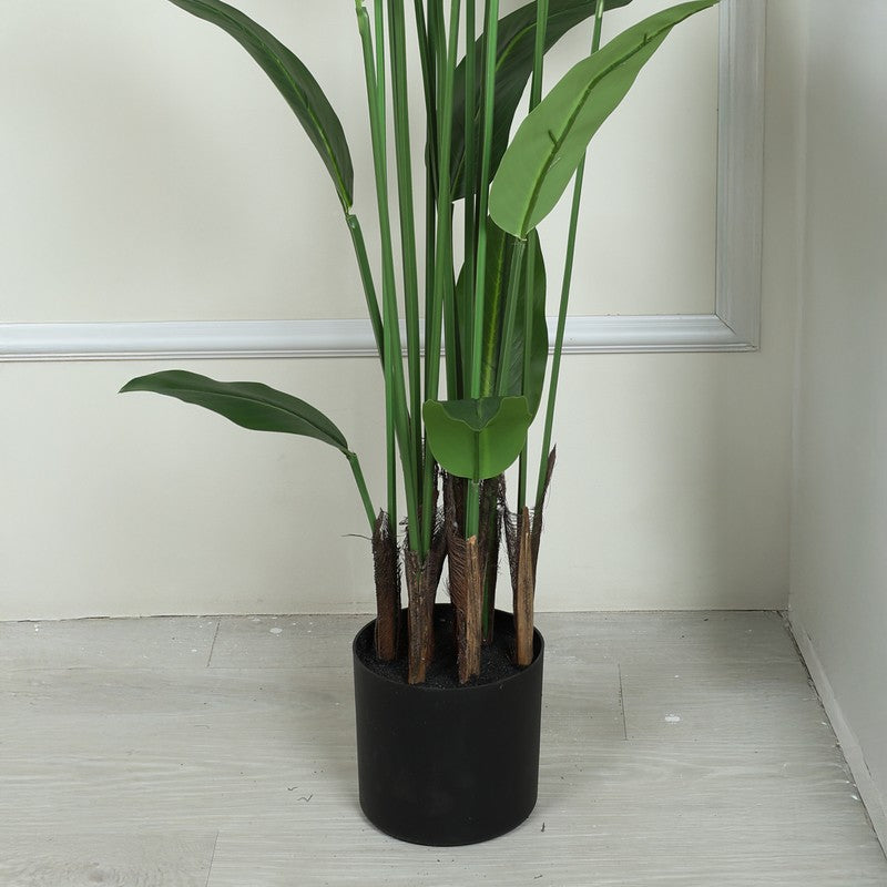 Artificial Strelitzia Plant With Black Fiber Pot - 5.2 Feet media 4
