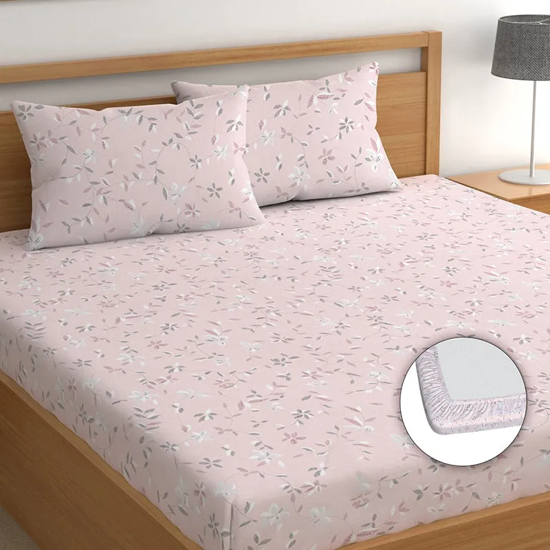 Donna Fitted Microfiber Microfiber Bedsheet - 150 GSM media 3