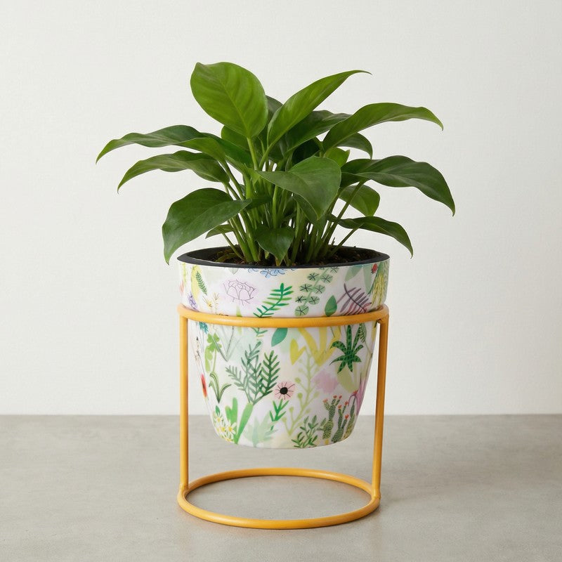 Concrete Metal Planters With Stand - Two Piece Set media 12