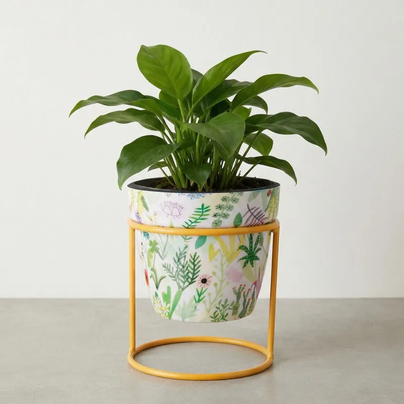 Concrete Metal Planters With Stand - Two Piece Set media 12