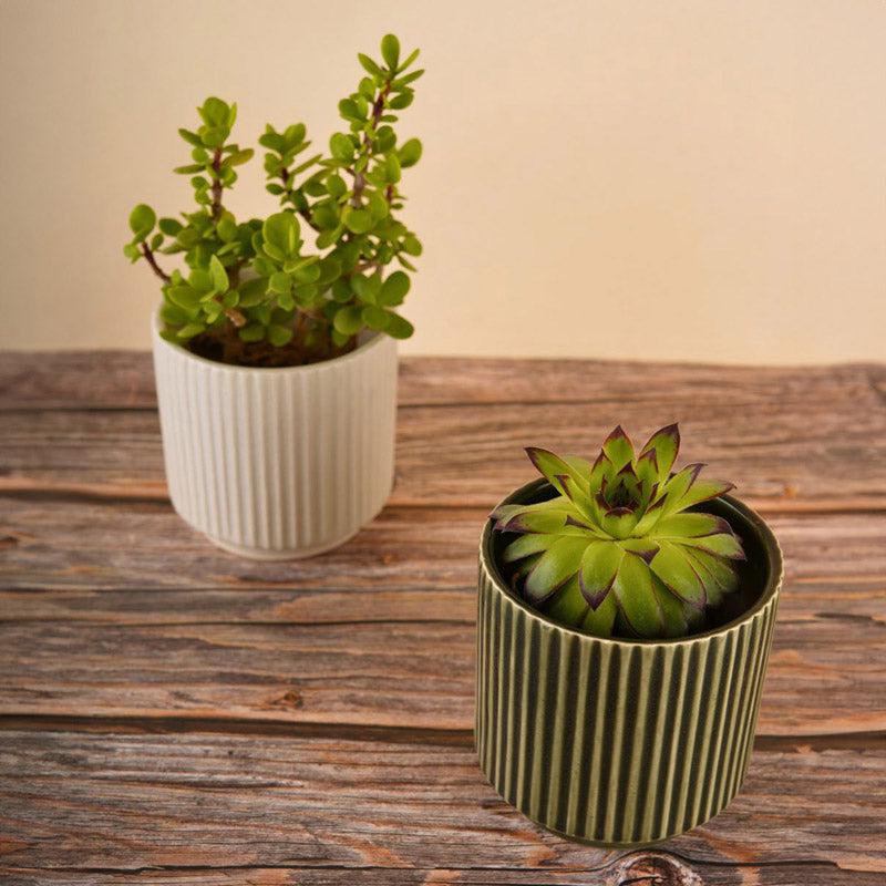 Ahanay Ribbed Planter (Olive Green & White) - Set Of Two media 5