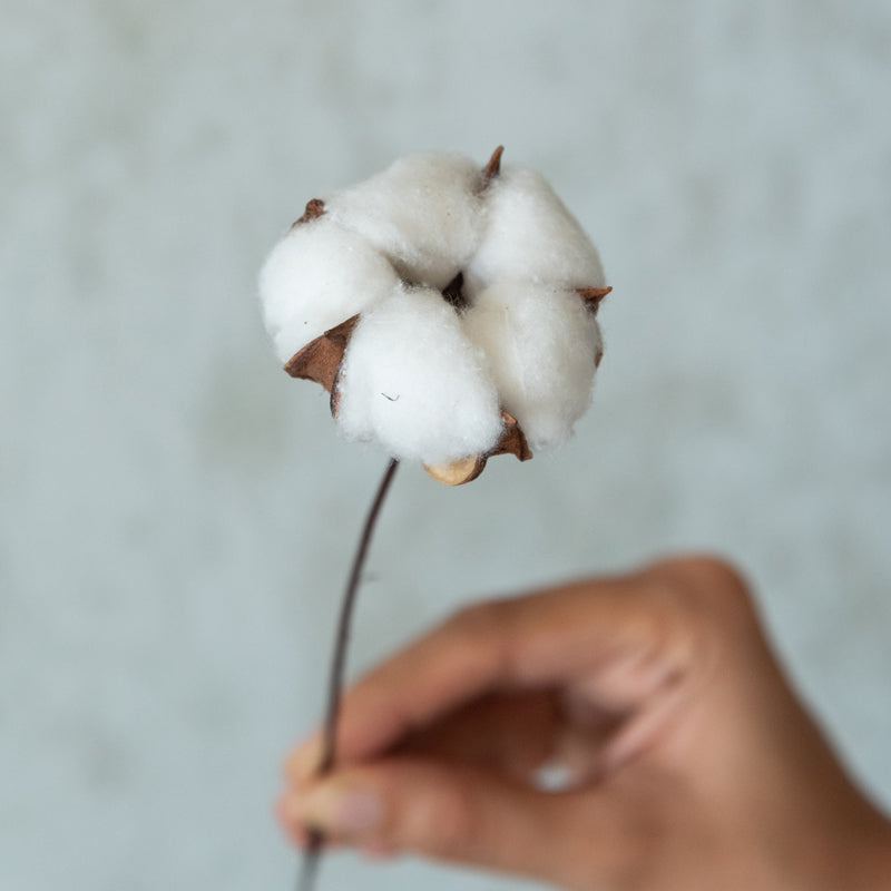 Yinitte Cotton Sticks - Set Of Fifteen media 5