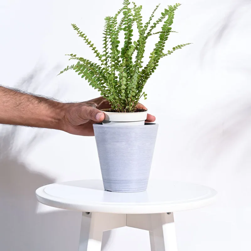 UGAOO Venice Planter for Home & Balcony Garden- Light Grey media 5