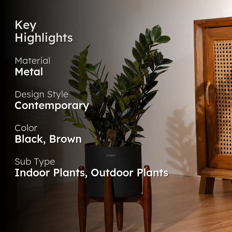 Kyari Black ZZ Plant With Metal Self Watering Pot (Black) media 2