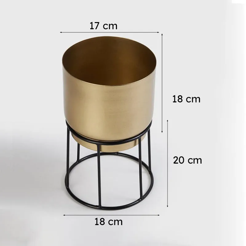 Elsa Gols Planter With Stand media 6
