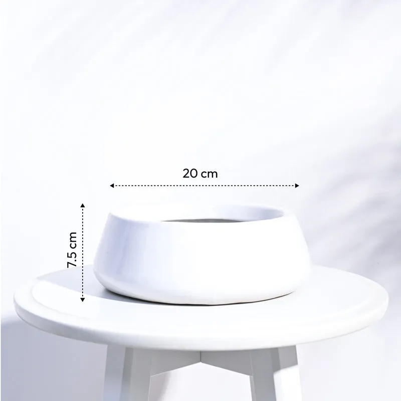 Ugaoo Tulip Fantasy 6032 White Ceramic Pot media 6