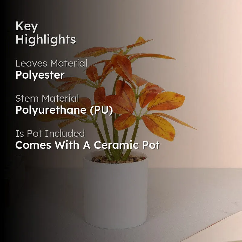 Artificial Schefflera Plants With Pot - Orange media 2
