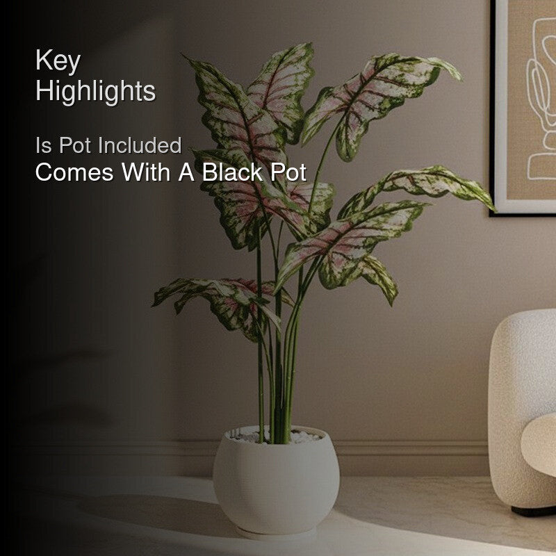Calatrop Artificial Tropical Caladium With Basic Black Plastic Pot - 150 cm (5 ft) media 2