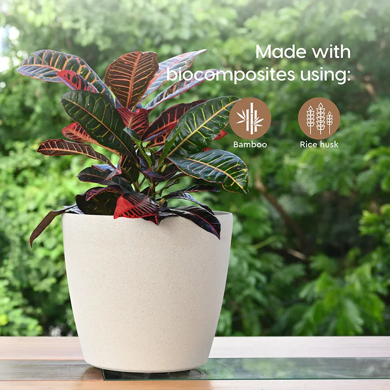 Natura Niche Self-Watering Planter - Set Of Two media 3