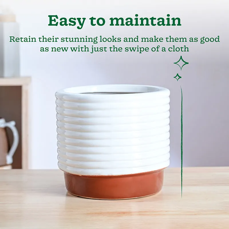 Ugaoo Fern Friend Ceramic Planter - Terracotta media 4