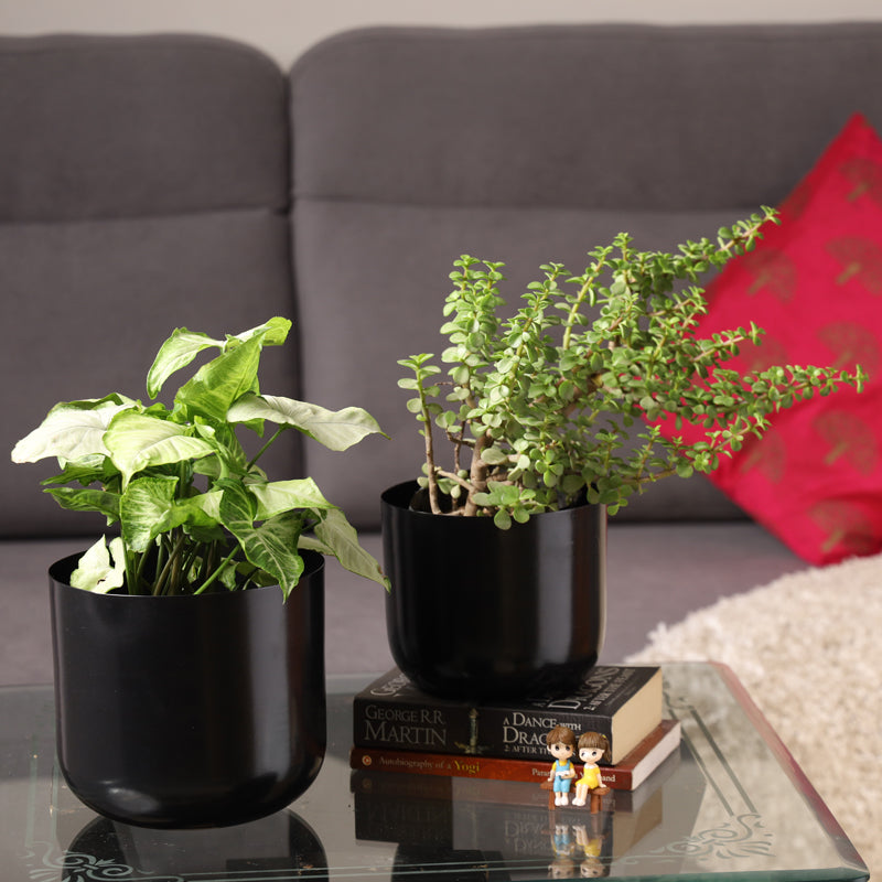 Luxe Glow Planter (Black) - Set Of Two media 4