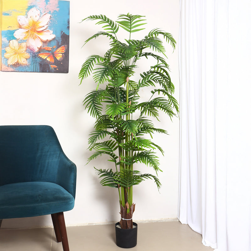 Verdiq II Artificial Plant With Black Plastic Pot - 6 Feet media 3