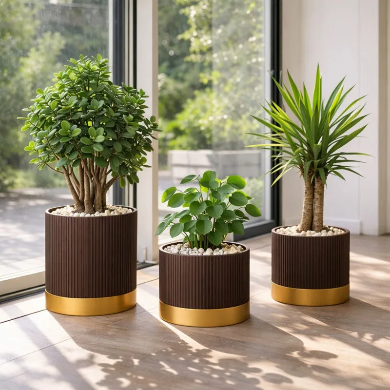 Solterra Planters (Brown) - Set Of Three media 2