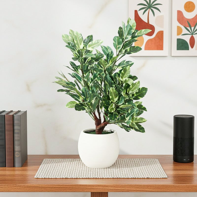 Green Envy Artificial Plant With Black Plastic Pot