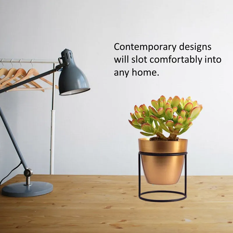 Zutoia Black Planter - White media 6