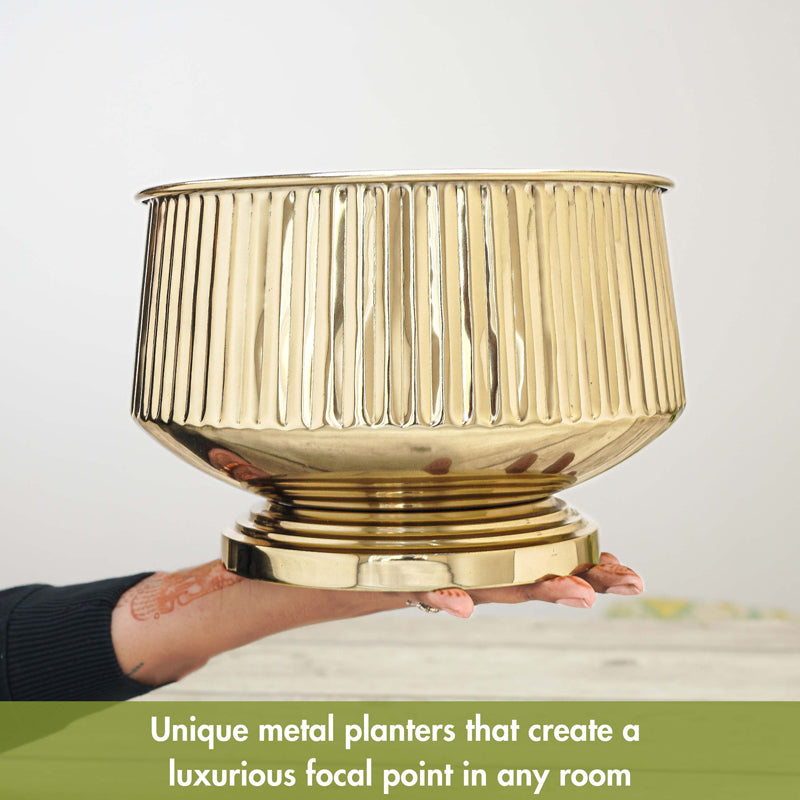 Forgea Metal Planter media 3