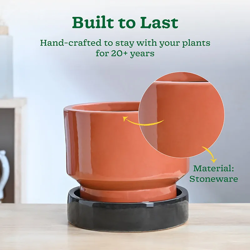 Ugaoo Pot-fection Ceramic Planter - Coral media 4