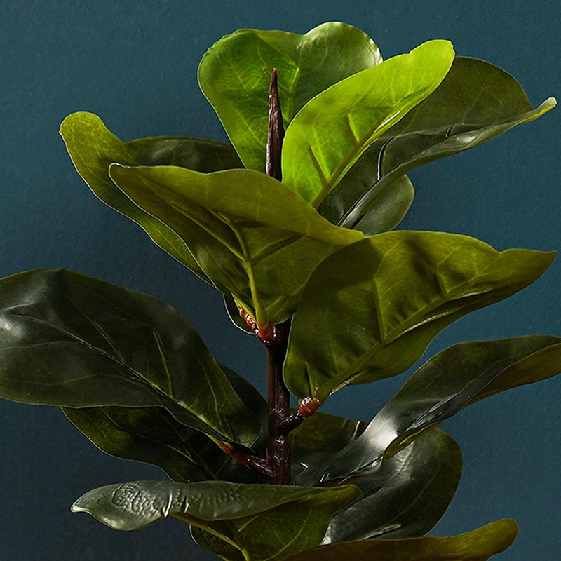 Fidelia Artificial Fiddle Fig Plant - 1 Feet media 6