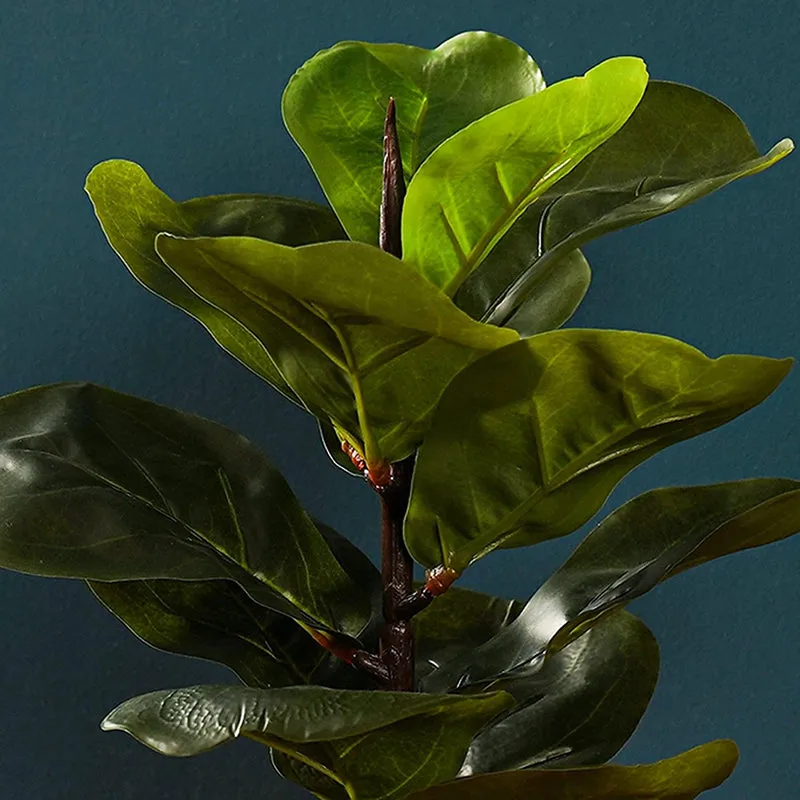 Fidelia Artificial Fiddle Fig Plant - 1 Feet media 6