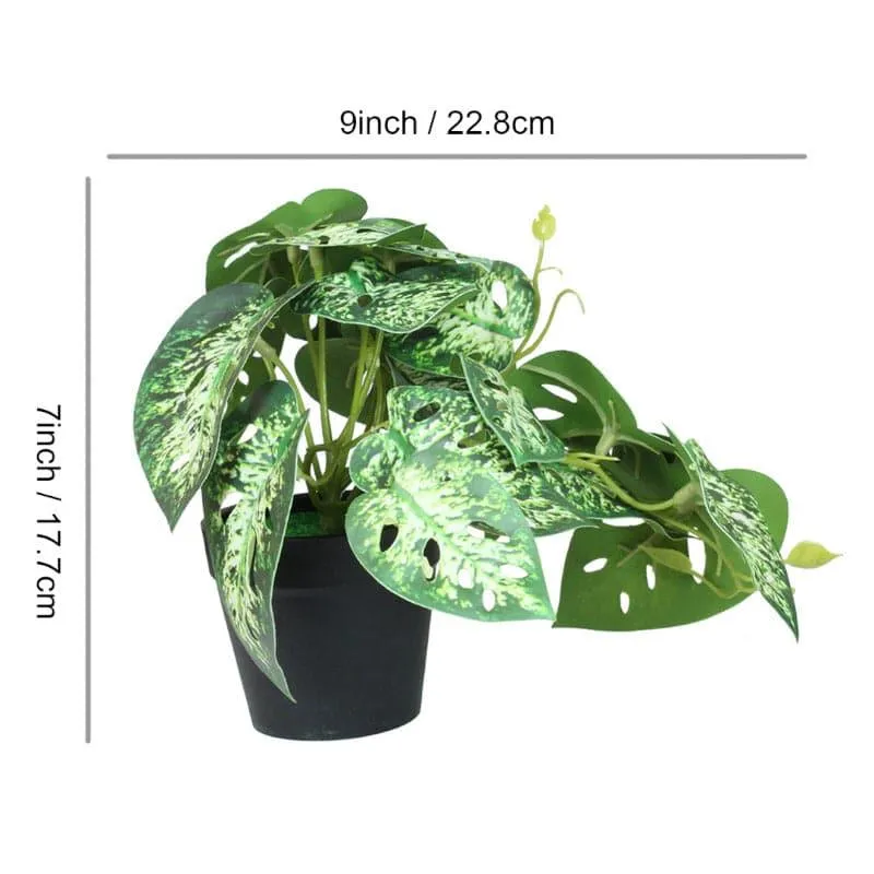 Faux Begonia Plant With Black Plastic Pot (18 cms) - Set Of Two media 5